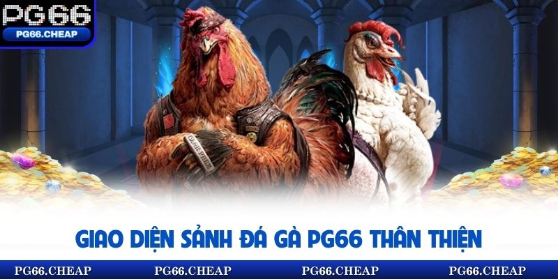 Giao diện sảnh đá gà PG66 thân thiện