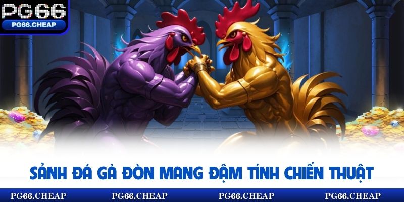 Sảnh đá gà đòn mang đậm tính chiến thuật